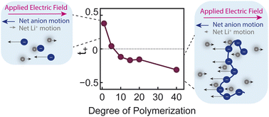 Graphical abstract: Ion correlation and negative lithium transference in polyelectrolyte solutions