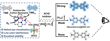 Graphical abstract: Visual evaluation of acetylcholinesterase inhibition by an easy-to-operate assay based on N-doped carbon nanozyme with high stability and oxidase-like activity