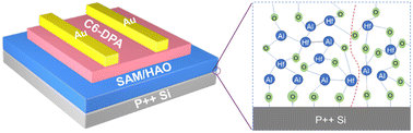 Graphical abstract: Low-voltage organic single-crystal field-effect transistors and inverters enabled by a solution processable high-k dielectric