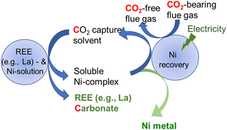 Graphical abstract: Separation of rare earth elements and nickel harnessing electrochemistry and reactive CO2 capture and mineralization