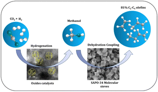 Graphical abstract: Controlled acidity-mediated short-chain olefin synthesis over a Mn–Zn–Zr/Zn-SAPO-34 catalyst via CO2 hydrogenation
