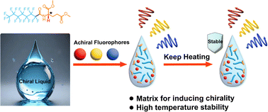Graphical abstract: A fluorinated chiral liquid with thermal robustness for inducing circularly polarized luminescence
