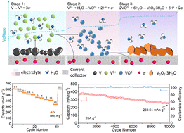 Graphical abstract: Metallic vanadium activated by an in situ dissolution–deposition process for a superior aqueous zinc ion battery cathode
