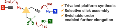 Graphical abstract: Three-step click assembly using trivalent platforms bearing azido, ethynyl, and fluorosulfonyl groups