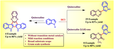 Graphical abstract: Brønsted acid-mediated mono- and di-substitution of quinoxalines with indoles: a pathway to indolocarbazole-quinoxaline scaffolds