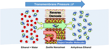 Graphical abstract: Adsorption-driven reverse osmosis separation of ethanol/water using zeolite nanosheets