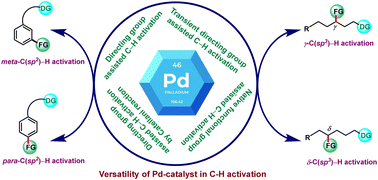 Graphical abstract: Pd-catalyzed regioselective activation of C(sp2)–H and C(sp3)–H bonds