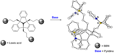 Graphical abstract: Host–guest chemistry of tridentate Lewis acids based on tribenzotriquinacene