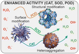 Graphical abstract: Engineering inorganic nanozyme architectures for decomposition of reactive oxygen species