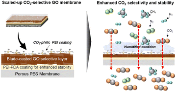 Graphical abstract: Scaling-up CO2-selective graphene oxide membranes via sequential coating with gelated graphene oxide and polyethyleneimine for CO2 separation