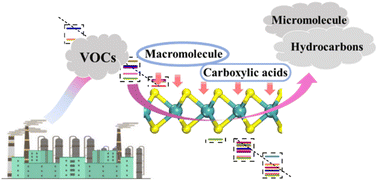 Graphical abstract: Mechanistic insights into the adsorption of different types of VOCs on monolayer MoS2via first-principles approaches