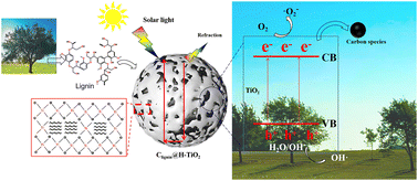 Graphical abstract: 3D structure-functional design of a biomass-derived photocatalyst for antimicrobial efficacy and chemical degradation under ambient conditions