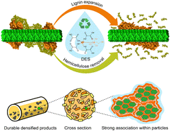 Graphical abstract: Molecular origins of enhanced bioproduct properties by pretreatment of agricultural residues with deep eutectic solvents