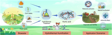Graphical abstract: Rapid humification of biomass via hydrothermal conversion: a comprehensive review