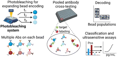 Graphical abstract: Efficient discovery of antibody binding pairs using a photobleaching strategy for bead encoding