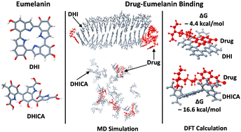 Graphical abstract: A computational investigation of eumelanin–drug binding in aqueous solutions