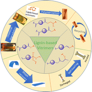 Graphical abstract: Lignin-based vitrimers: valorization and utilization of lignin in high-value applications