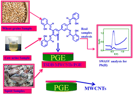 Graphical abstract: Analysis of Pb(ii) in wheat grain, cow urine and squid samples using modified novel TSDB incorporated MWCNTs