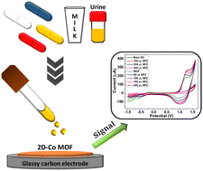 Graphical abstract: Design and investigation of a new two-dimensional cobalt metal–organic framework for highly sensitive electrochemical detection of the nitrofurazone drug in food and biological samples