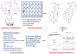 Graphical abstract: Thiazolidine-2,4-dione hybrids as dual alpha-amylase and alpha-glucosidase inhibitors: design, synthesis, in vitro and in vivo anti-diabetic evaluation