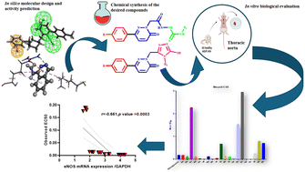 Graphical abstract: Design, synthesis and characterization of novel pyridazin-3-one derivatives: in vitro vasorelaxant activity and in silico insights into eNOS modulation