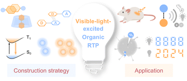 Graphical abstract: Visible-light-excited organic room temperature phosphorescence