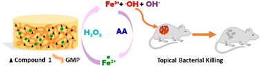 Graphical abstract: A hydrogel based on Fe(ii)-GMP demonstrates tunable emission, self-healing mechanical strength and Fenton chemistry-mediated notable antibacterial properties