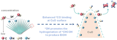 Graphical abstract: Efficient CO2 electroreduction to ethanol enabled by tip-curvature-induced local electric fields