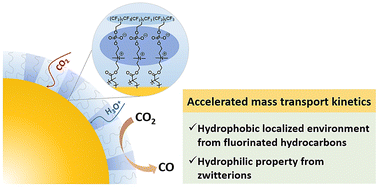 Graphical abstract: Fluorinated polymer zwitterions on gold nanoparticles: patterned catalyst surfaces guide interfacial transport and electrochemical CO2 reduction