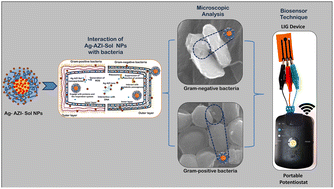 Graphical abstract: Enhanced antibacterial efficacy: rapid analysis of silver-decorated azithromycin-infused Soluplus® nanoparticles against E. coli and S. epidermidis biofilms