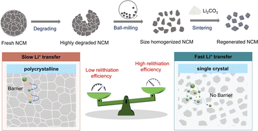 Graphical abstract: Homogenization enabled efficient regeneration of spent Ni-rich LiNixCoyMn1−x−yO2 cathodes