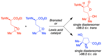 Graphical abstract: Chemodivergent synthesis of cis-4-hydroxyprolines from diastereomerically enriched epoxides