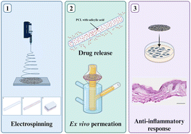 Graphical abstract: Electrospun dressings with a dual release functionality of two anti-inflammatory active ingredients