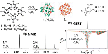 Graphical abstract: Advanced 19F-NMR studies shed new light on encapsulation of isosteric guests in the hexameric capsules of resorcin[4]arenes and pyrogallol[4]arenes