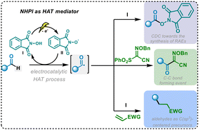 Graphical abstract: Acyl radicals generated from aldehydes with NHPI as electrocatalyst: aldehydes and alcohols as carbon-centered radical precursors