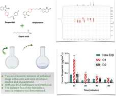 Graphical abstract: Structural insights into novel therapeutic deep eutectic systems with capric acid using 1D, 2D NMR and DSC techniques with superior gut permeability