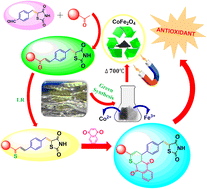Graphical abstract: Green catalyst of cobalt ferrite magnetic nanoparticles using petai peel extract for the synthesis of thiazolidinedione-based chalcone 4H-thiopyran as an antioxidant