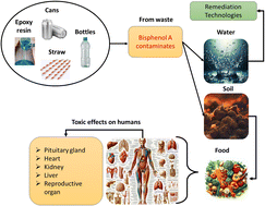 Graphical abstract: Bisphenol A (BPA) toxicity assessment and insights into current remediation strategies