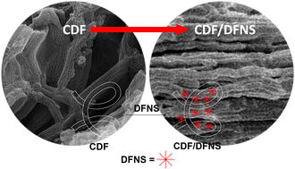 Graphical abstract: Dendritic fibrous nanosilica activated bovine excrement fiber to enhance the initial characteristics and durability of concrete