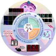Graphical abstract: Fluorescent probes for sensing and visualizing methylglyoxal: progress, challenges, and perspectives