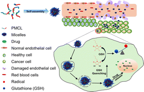 Graphical abstract: Maleimide functionalized polycaprolactone micelles for glutathione quenching and doxorubicin delivery