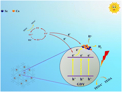 Graphical abstract: Visible light induced efficient photocatalytic hydrogen production by graphdiyne/CoSe ohmic heterojunction