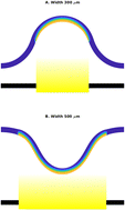 Graphical abstract: Achieving controllable and reversible snap-through in pre-strained strips of liquid crystalline elastomers