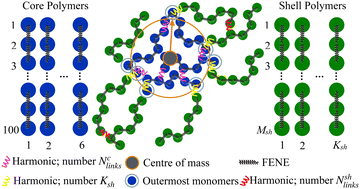Graphical abstract: Core–shell nanogels: the effects of morphology, electro- and magnetostatic interactions