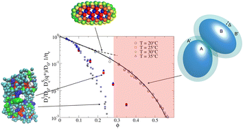 Graphical abstract: Dynamical arrest for globular proteins with patchy attractions