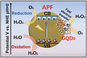 Graphical abstract: Assembling graphene quantum dots on aminophenol-formaldehyde resin towards efficient artificial photocatalytic hydrogen peroxide synthesis