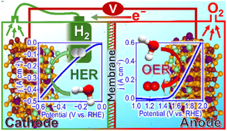Graphical abstract: Synergistically enhanced electronic modulation in trimetallic Cu–Co–Mo-based heterostructured nanomaterials for green H2 production via efficient alkaline electrolysis