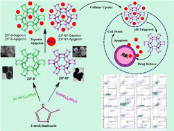 Graphical abstract: Bioactive zeolitic imidazolate framework nanoconjugates as synergistic drug delivery agents for cancer nanotherapeutics
