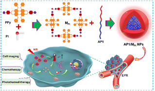 Graphical abstract: A discrete platinum(ii)-metallacycle with enhanced red emission for imaging-guided synergistic cancer photothermal-chemotherapy