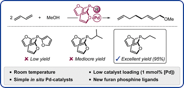 Graphical abstract: Development of highly efficient and selective palladium catalysts for telomerization of 1,3-butadiene with alcohols